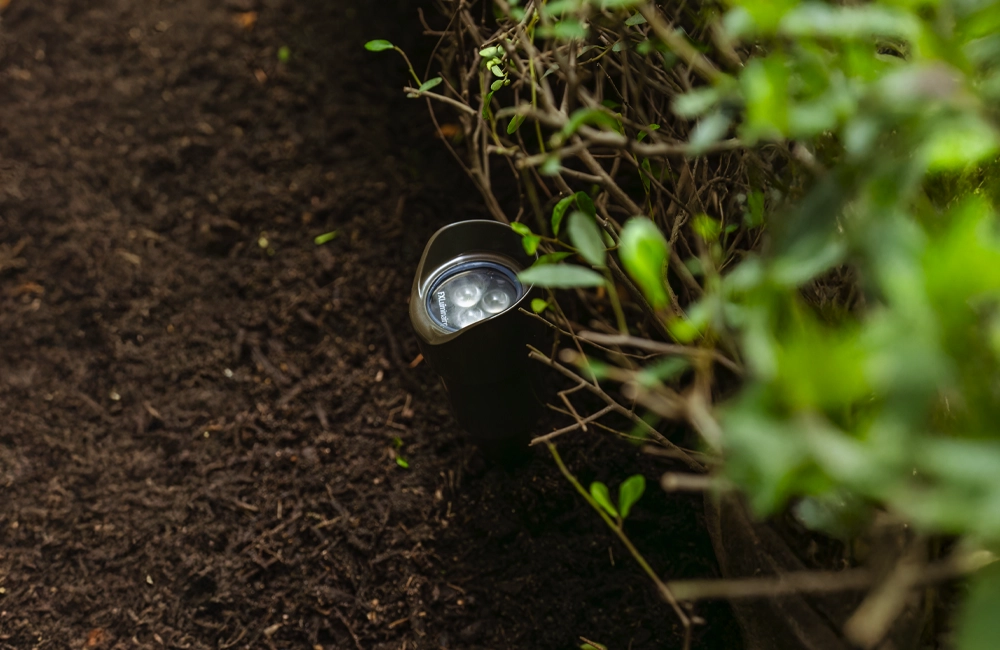 Close-up of a landscape lighting fixture installed within mulch and greenery for pathway and garden illumination