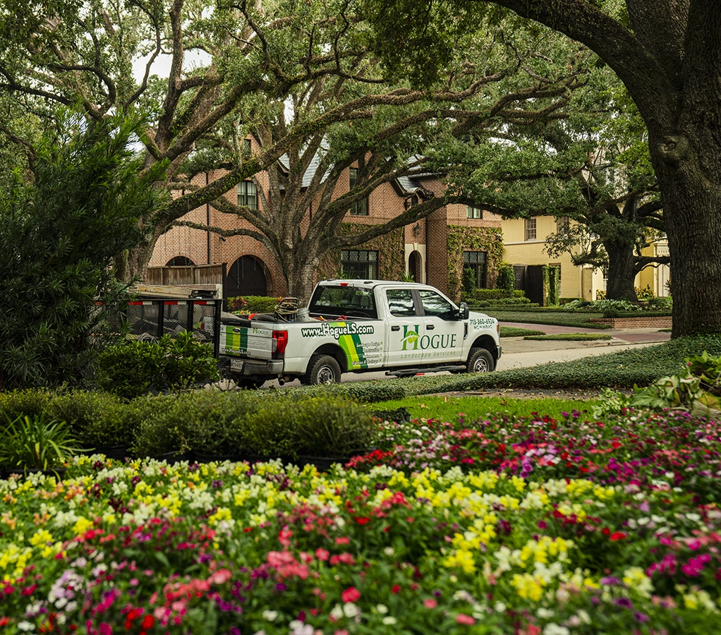Hogue landscape maintenance The Woodlands TX 77381 — native understory and lawn care