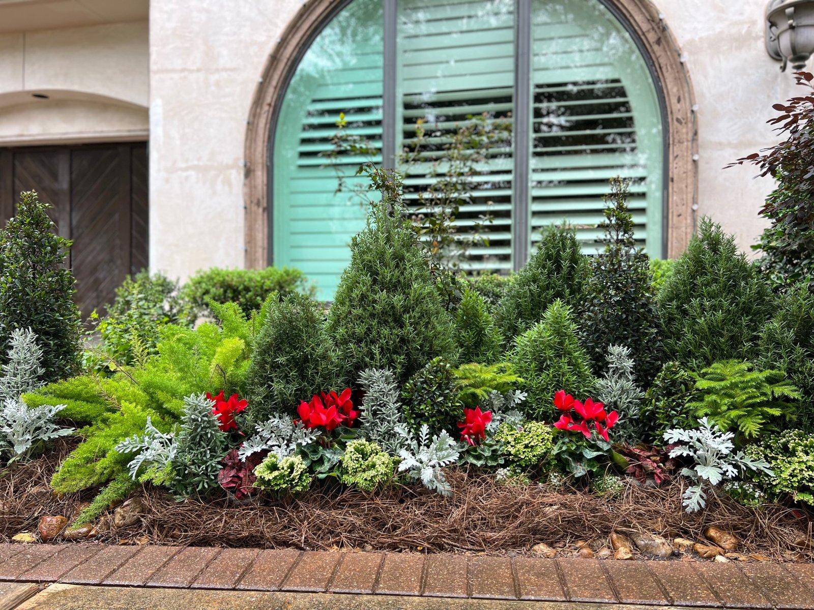 Red seasonal flowers and silver foliage beneath sculpted evergreens