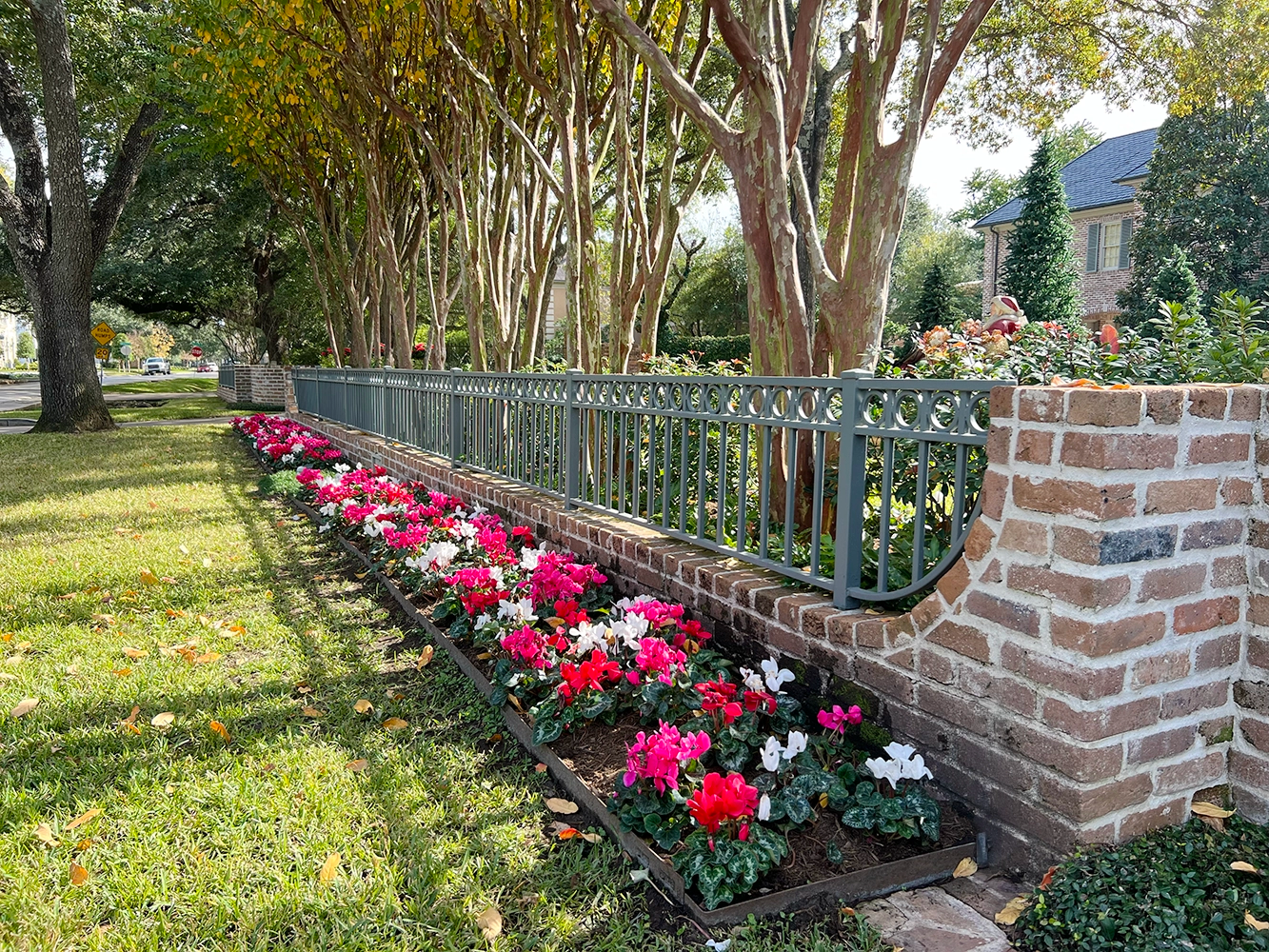 Pink and white seasonal flowers lining a brick and iron fence
